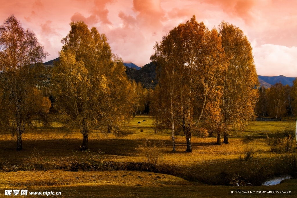 可可托海国家公园