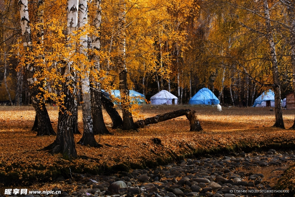 可可托海国家公园