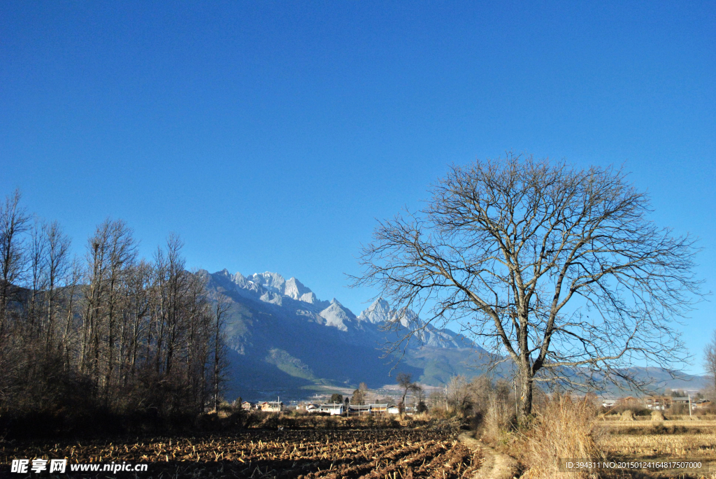 云南 雪山 树木 村落