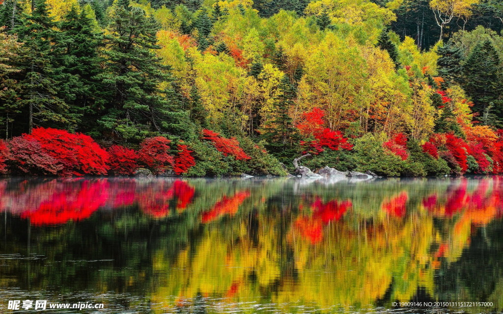 秋天树林湖泊风景图片