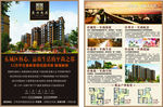 房地产DM单页