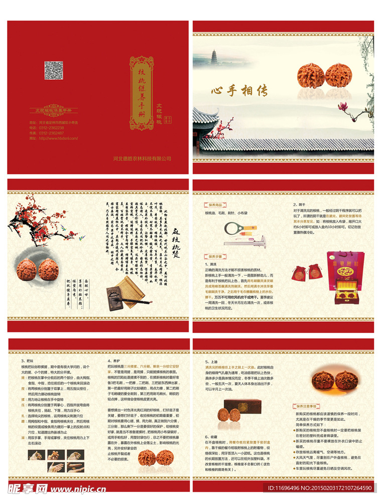 保养手册 把玩核桃 册子