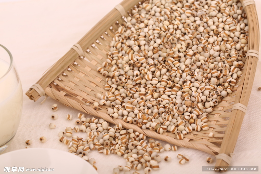 五谷杂粮系列薏米摄影图