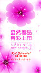 春季新品上市海报PSD素材
