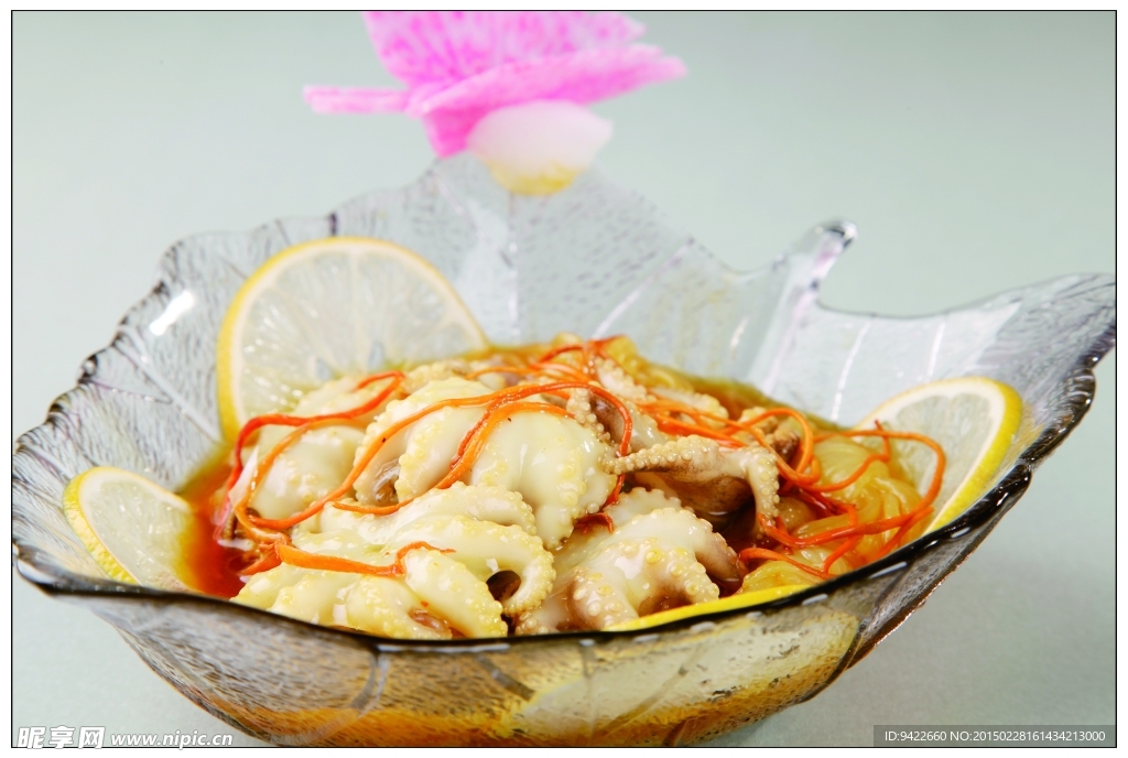 酸金针泡小八爪鱼