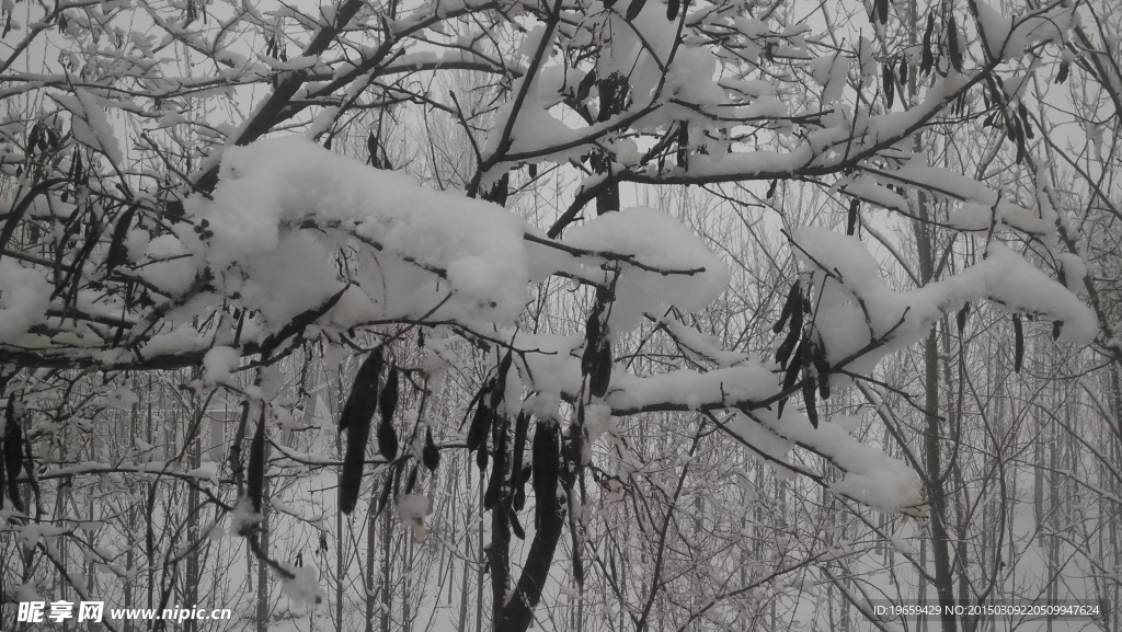 河北徐水乡村雪景户外自然