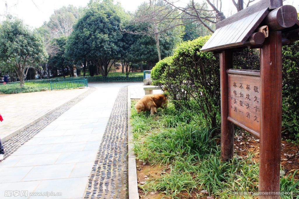 义乌孝子祠公园