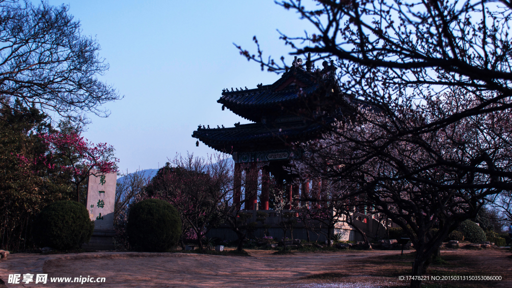 春天里的梅花山