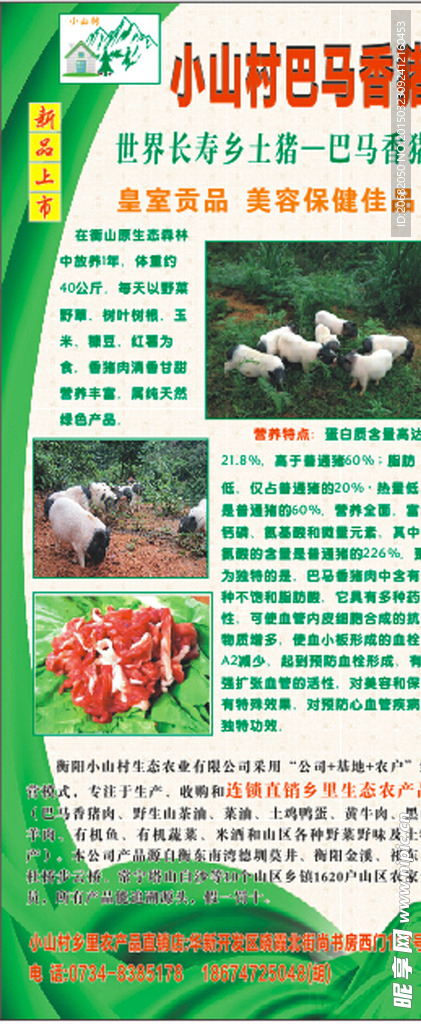 小乡村巴马香猪