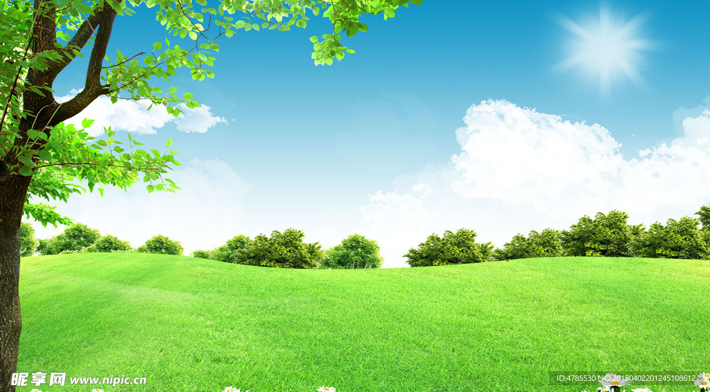 蓝天白云草地绿树