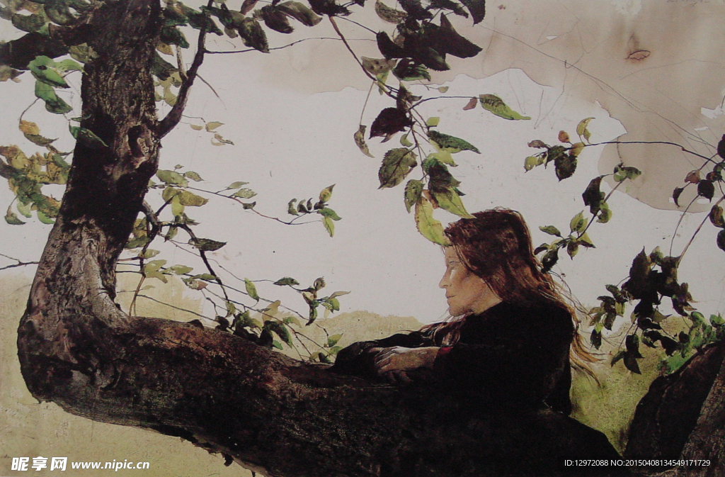 安德鲁 怀斯 水彩 美国水彩