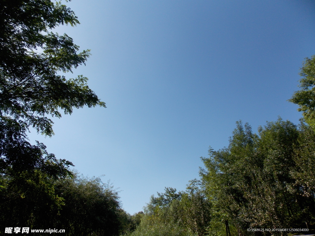 奥林匹克森林公园