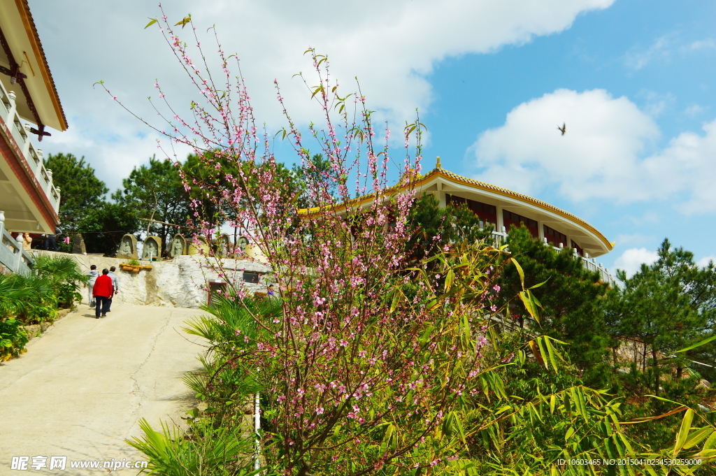 无限风光在险峰