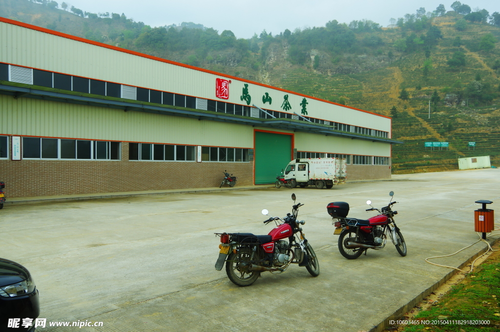茶田风光 马山茶田