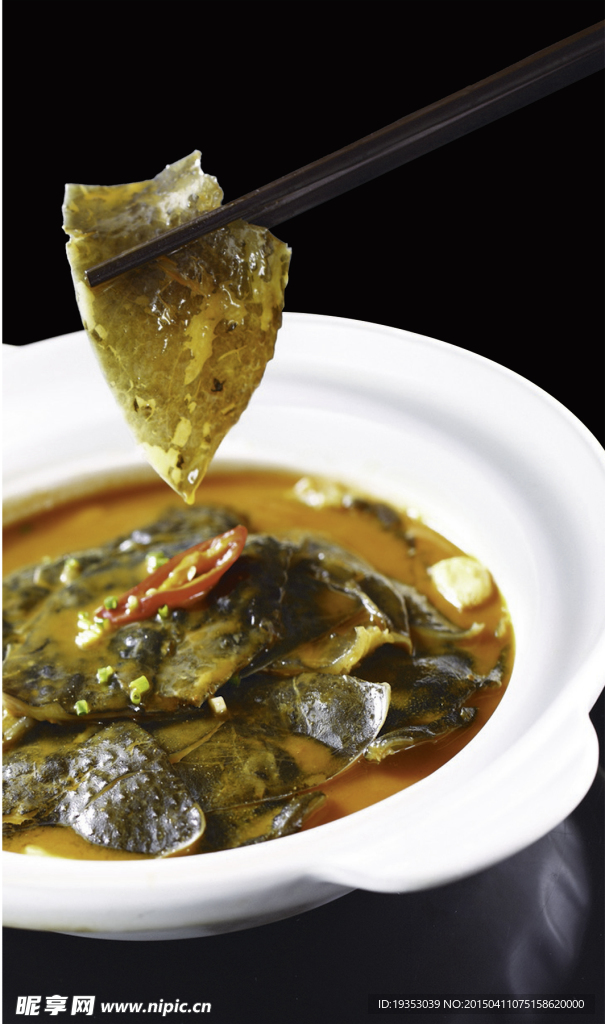 九江野生大甲鱼