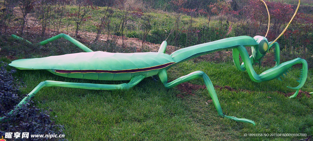 螳螂彩灯艺术处理