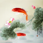 国画荷花荷雅鱼趣葛亚作品