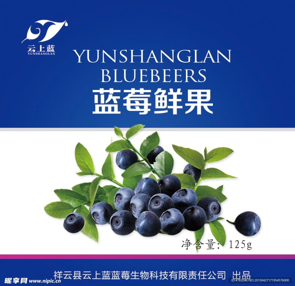 蓝莓鲜果包装贴