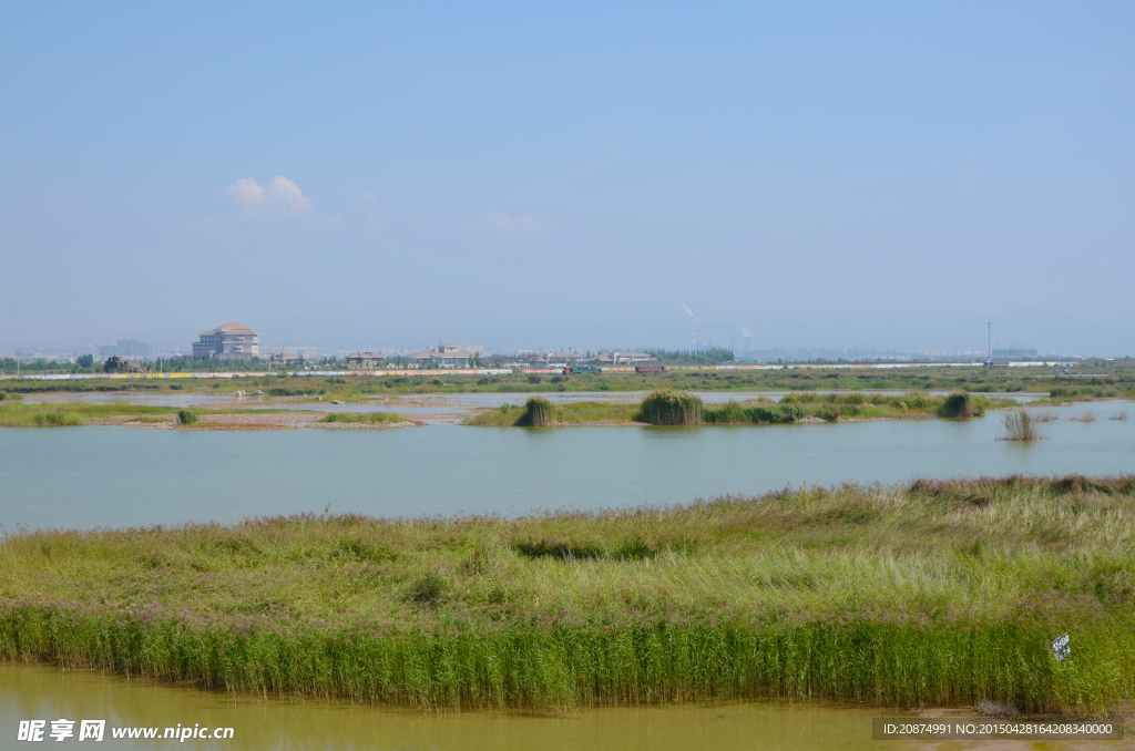 黄河湿地