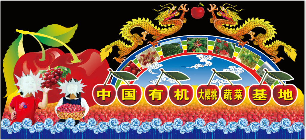 樱桃花灯彩车 巡游车 春节彩车