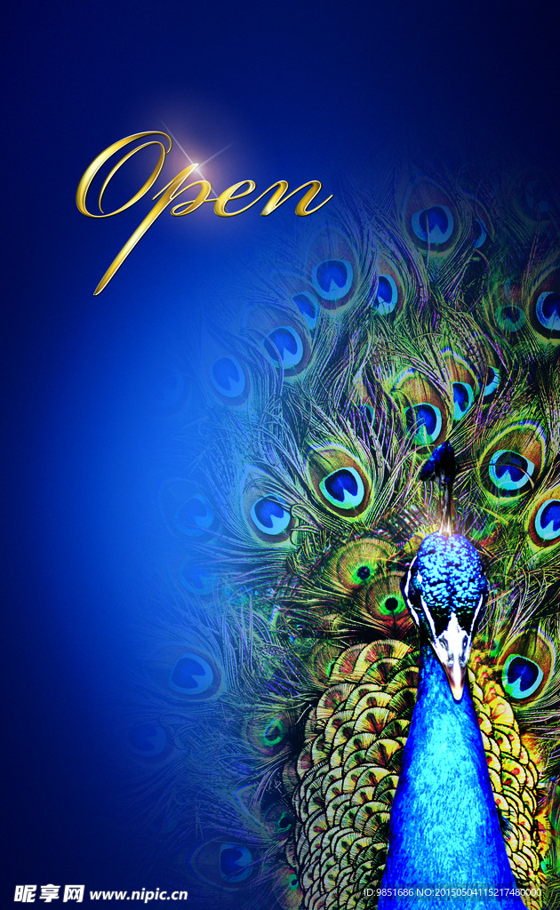 开盘 房地产广告 孔雀