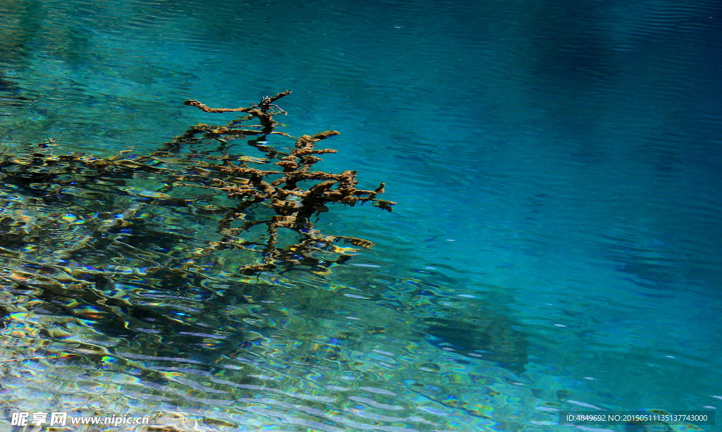 九寨沟 九寨沟风景 九寨沟风光