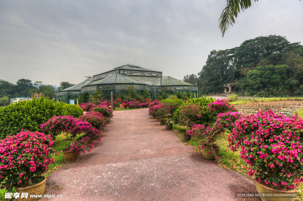 华南植物园
