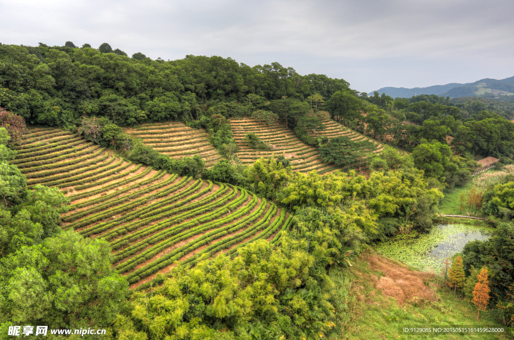 东部华侨城茶溪谷