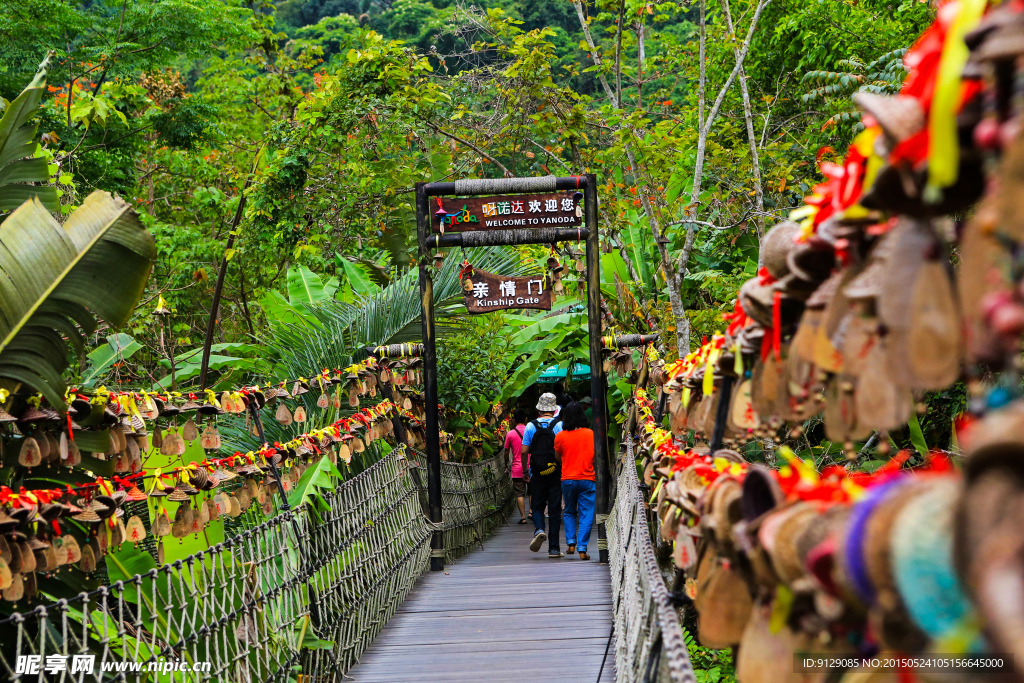 呀诺达雨林植物