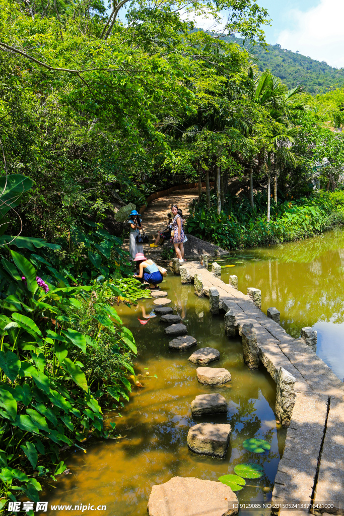 热带天堂森林公园