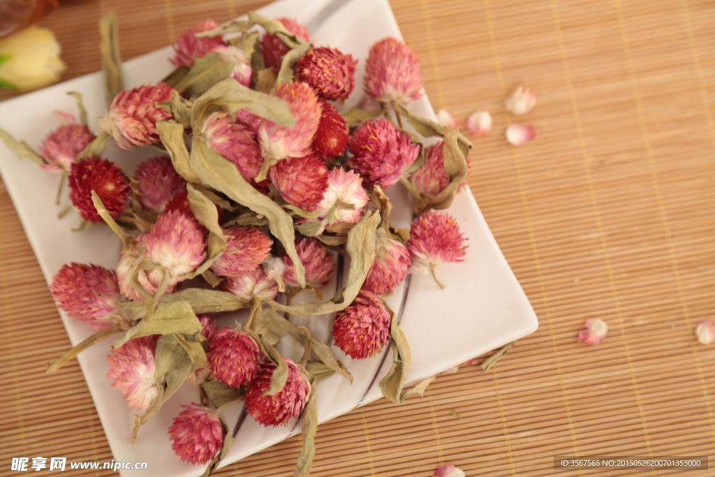 红巧梅花茶摄影图