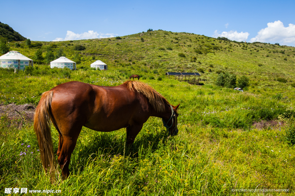 黄龙山庄 云中草原