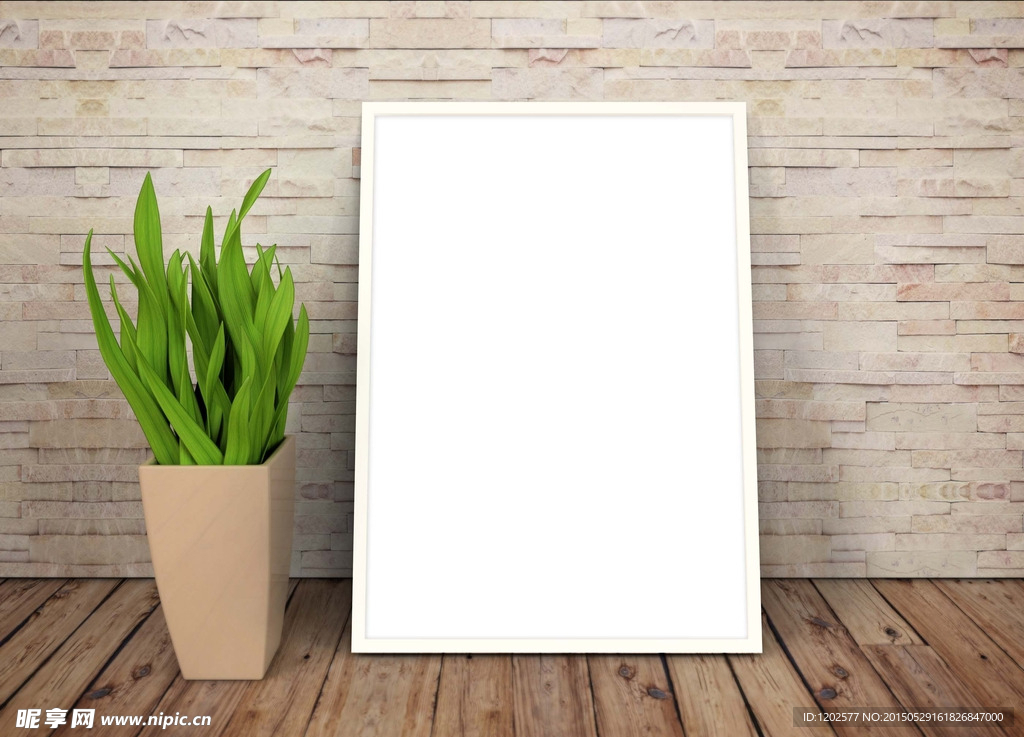 盆景墙壁背景海报展示