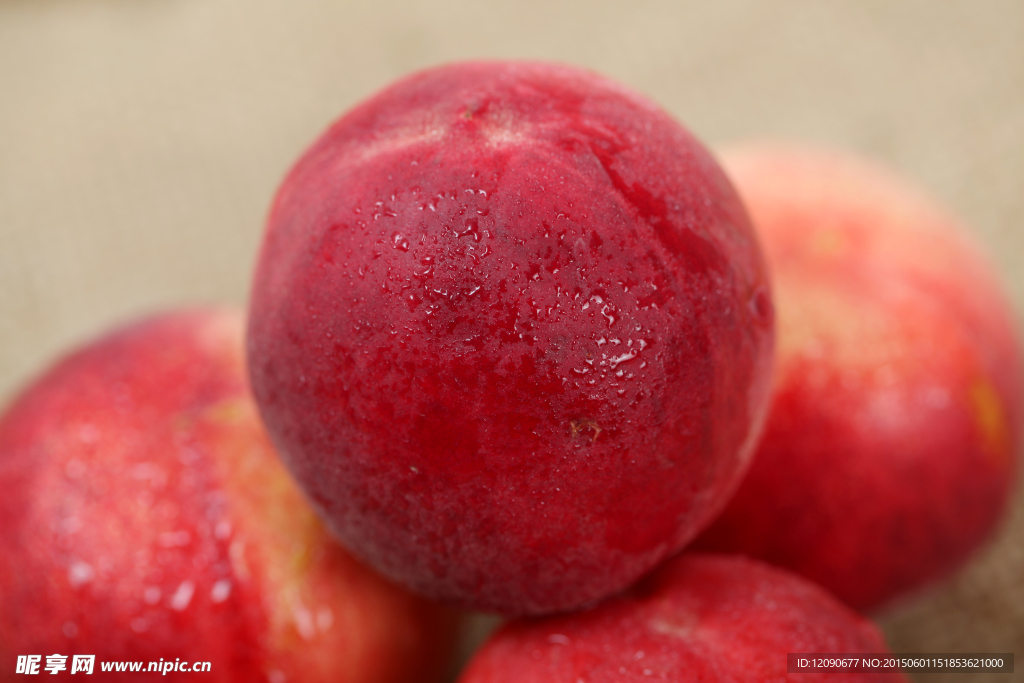 桃 桃子 毛桃 寿桃 仙桃