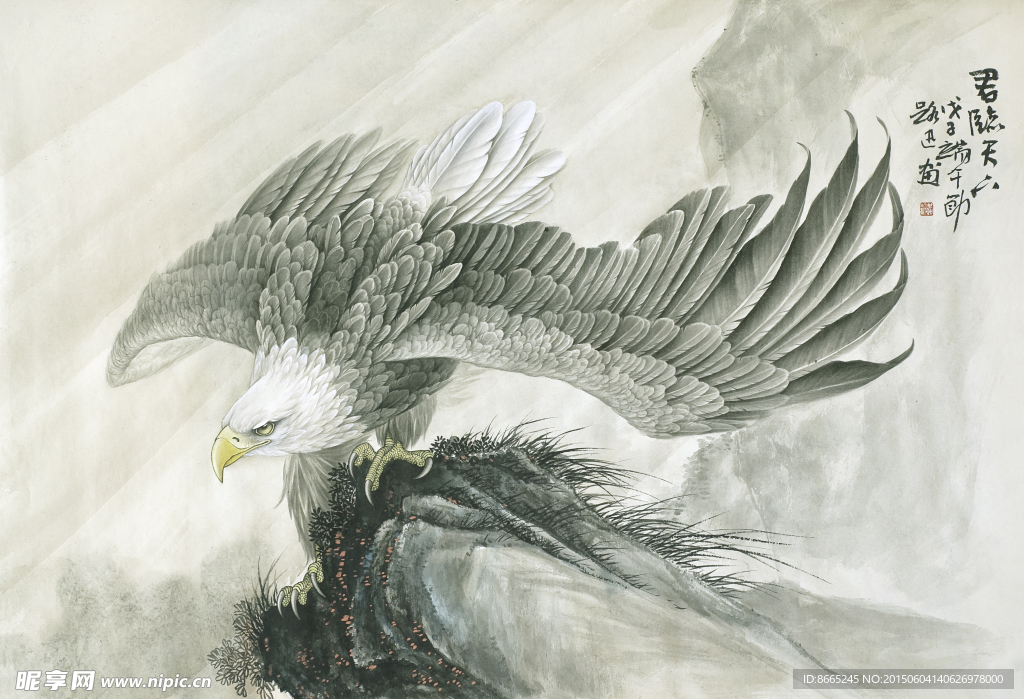 老鹰工笔画