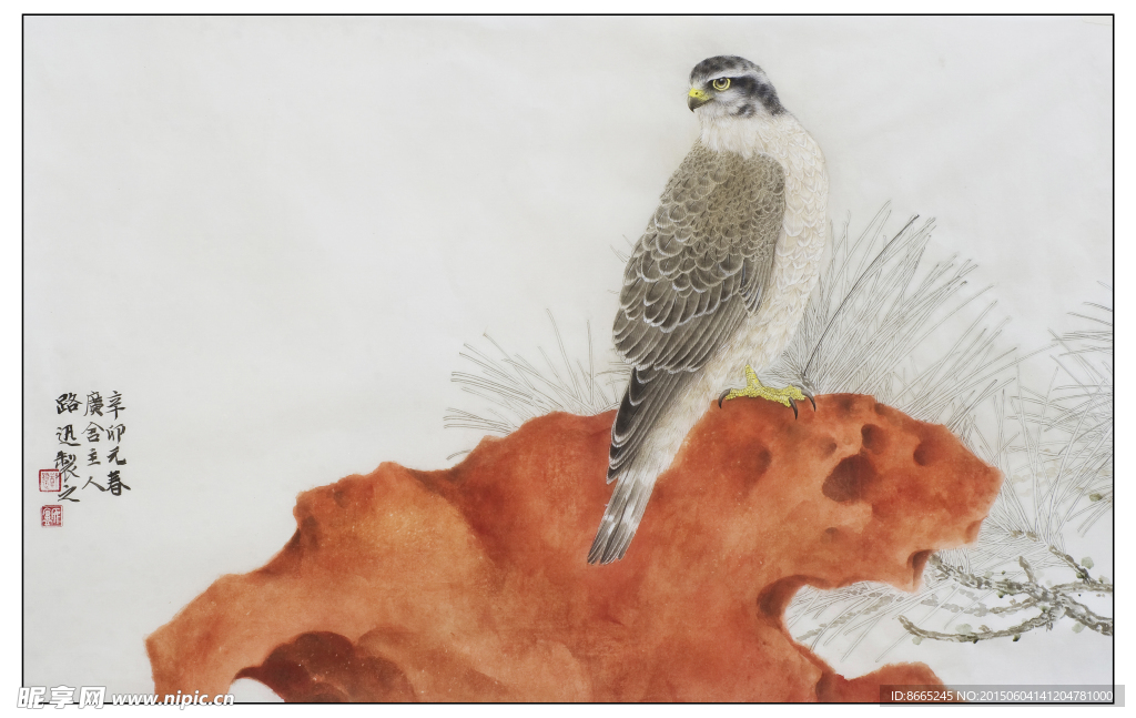 老鹰工笔画