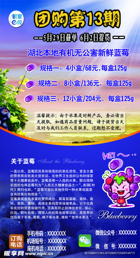蓝莓团购海报