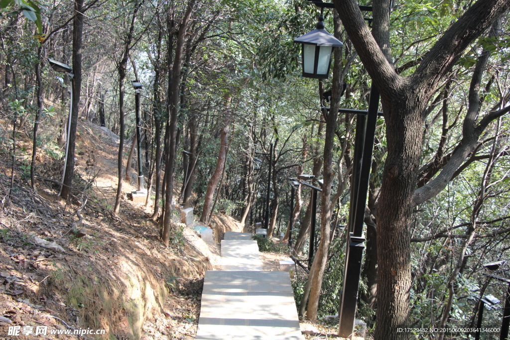 富阳区东吴公园鹿山山中小道