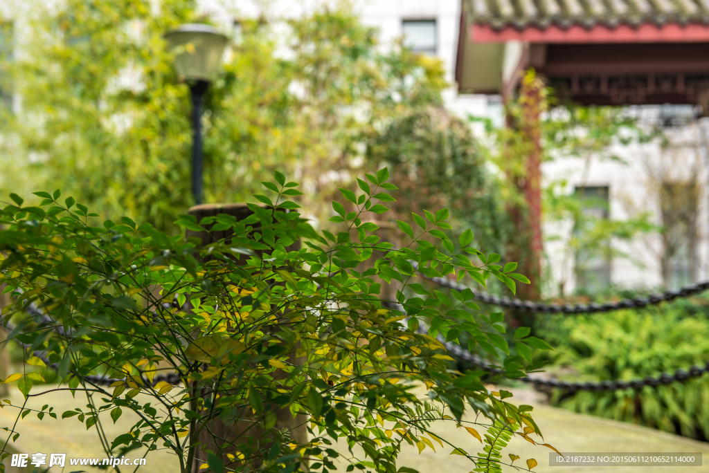 亭台 楼阁 院门 园门 园艺