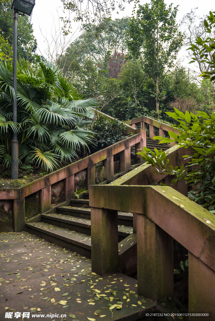 园艺 园林 草地 草坪 绿地