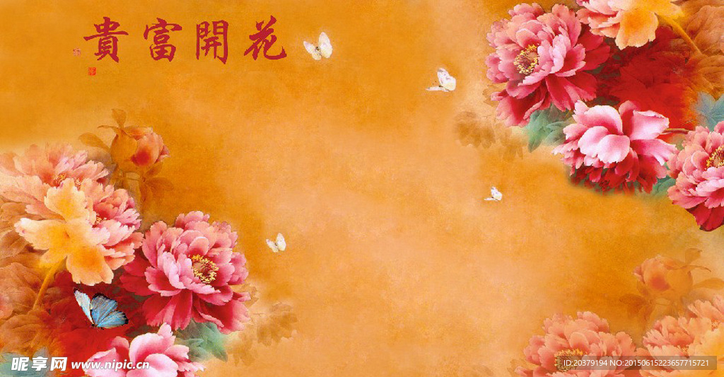 富贵花开牡丹花卉