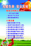 关爱生命 安全发展
