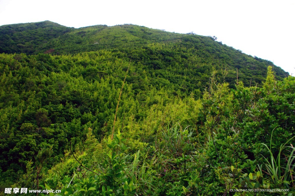 死神山水 海山风光
