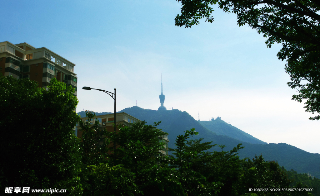 海滨风光 远眺梧桐