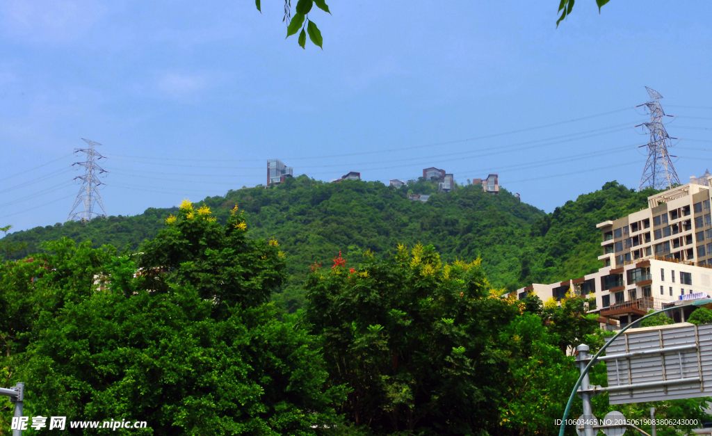 海山风光 鸟语花香