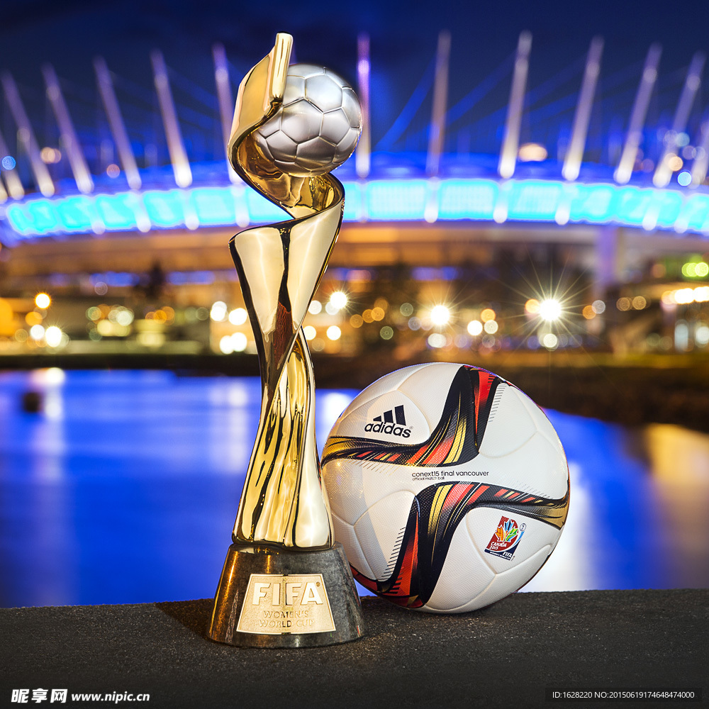 女足世界杯比赛用球