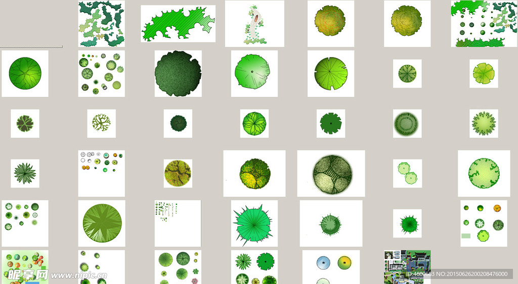 景观观平面树  平面树