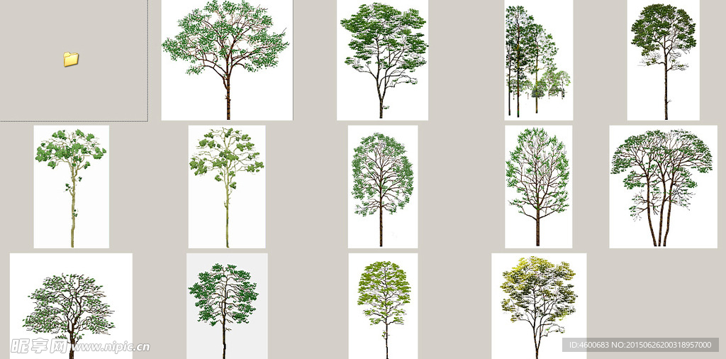 平面树立面假树