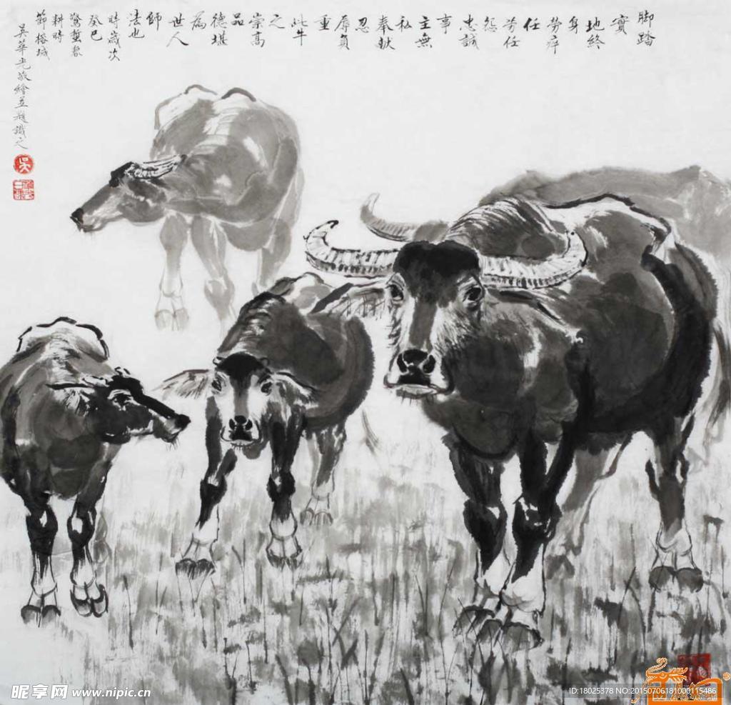 国画水牛