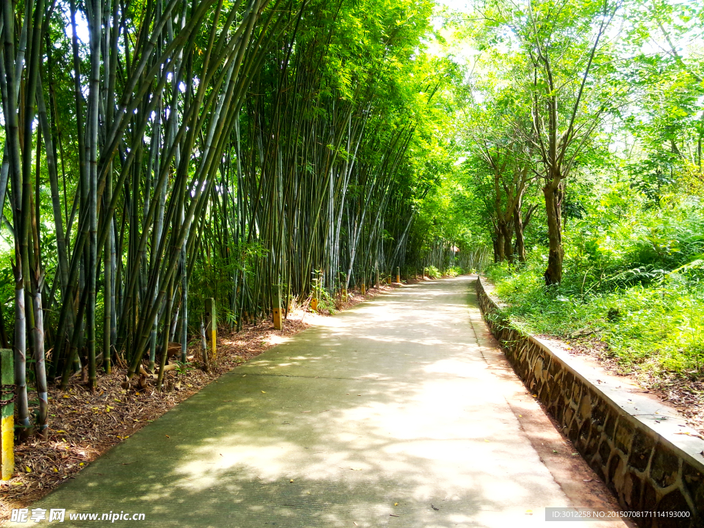竹林小路